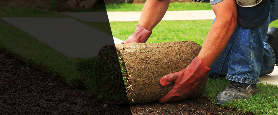 El Sobrante Landscapers